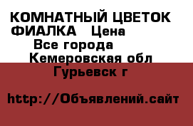 КОМНАТНЫЙ ЦВЕТОК -ФИАЛКА › Цена ­ 1 500 - Все города  »    . Кемеровская обл.,Гурьевск г.